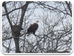 Lake Bracken Country Club